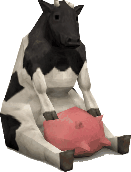 Kuu, a cow sitting down, holding her udder